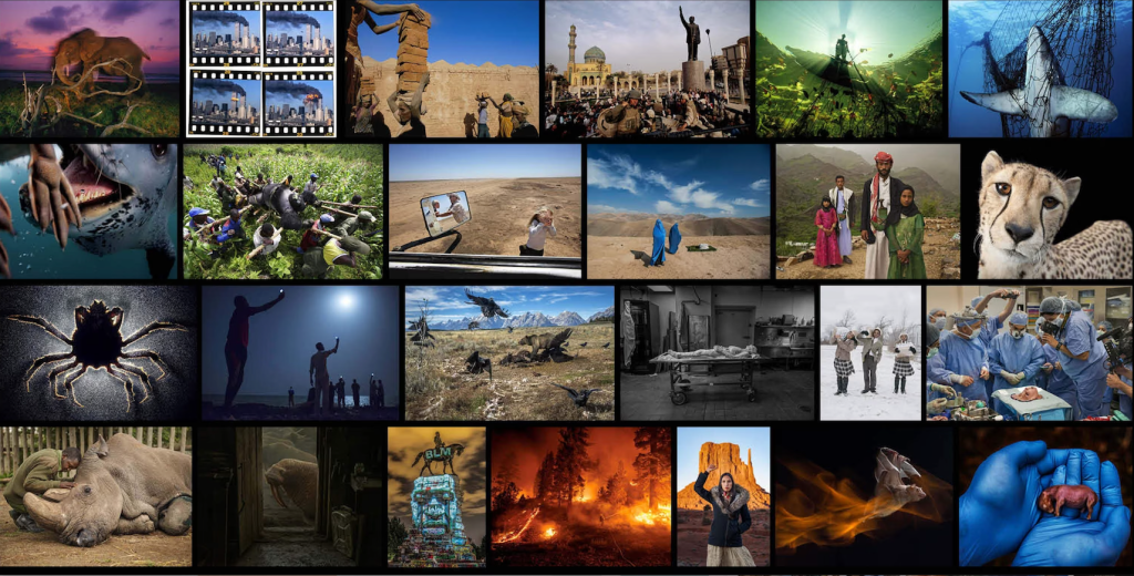 “A collage of powerful and emotional photographs showing a wide range of scenes, including wildlife (elephants, sharks, cheetahs), environmental destruction (wildfires, pollution), human conflict and war, medical procedures, cultural moments, and social issues, arranged in a grid with vivid colors and dramatic contrasts.”